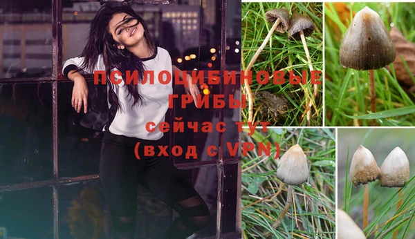 не бодяженный Медногорск