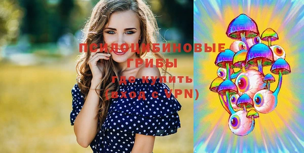 не бодяженный Медногорск