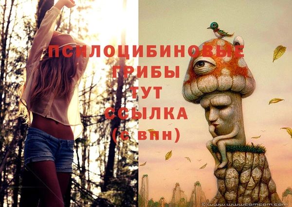 не бодяженный Медногорск