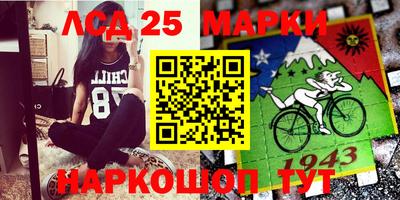 МДПВ Камышлов