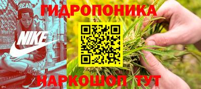 СК Кандалакша