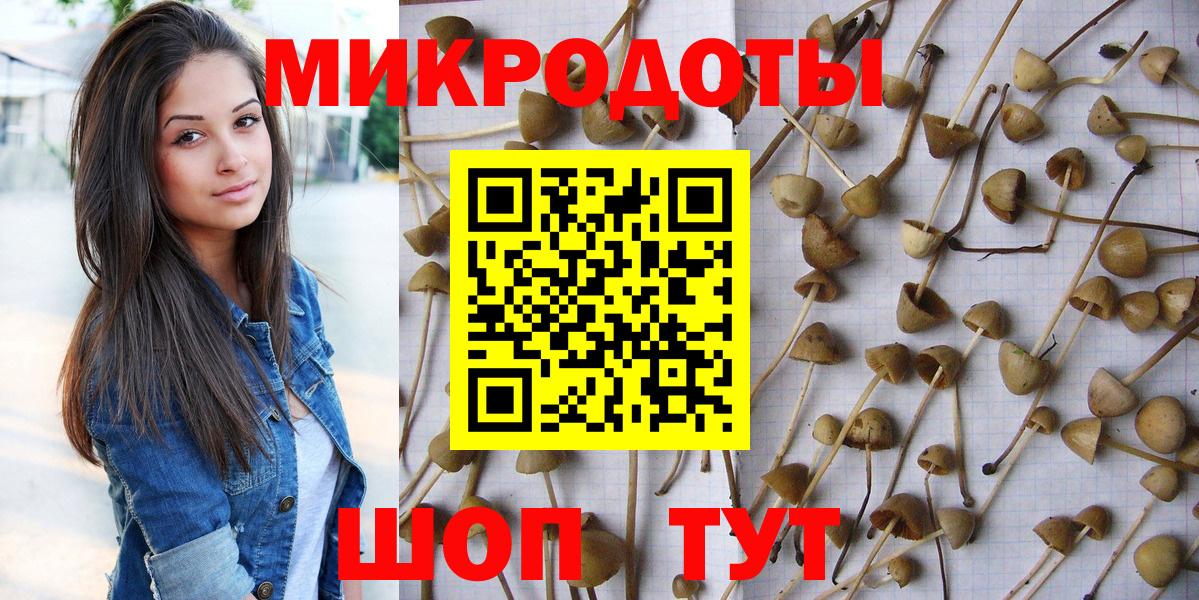 Галлюциногенные грибы прущие грибы  Вход с VPN  Нурлат 